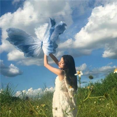 羊与钢的森林